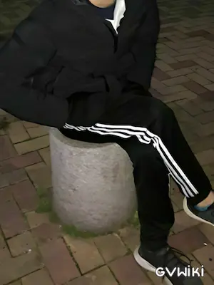 Reo