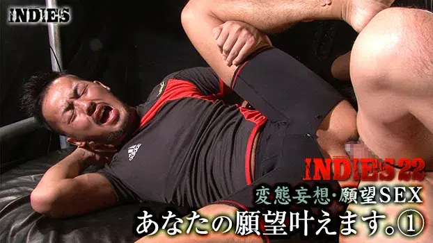 INDIES 22 – 変態妄想・願望SEX あなたの願望叶えます。--3