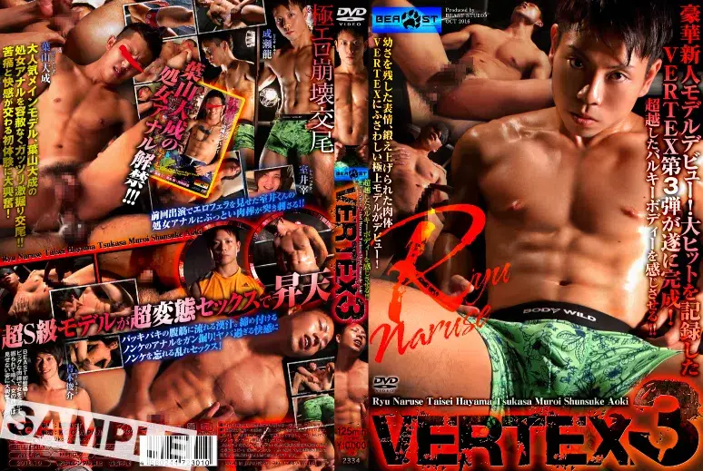 VERTEX 3-1