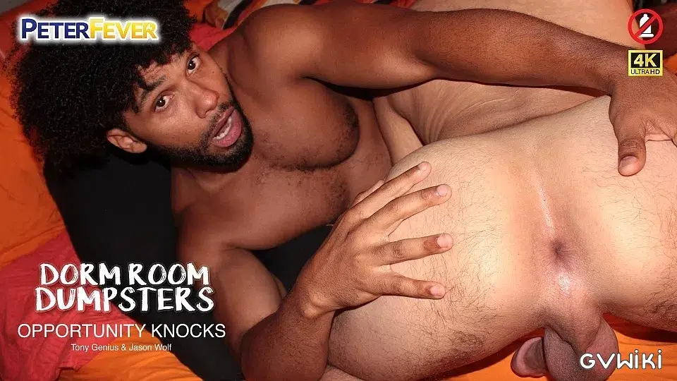 Dorm Room Dumpsters - Opportunity Knocks-1