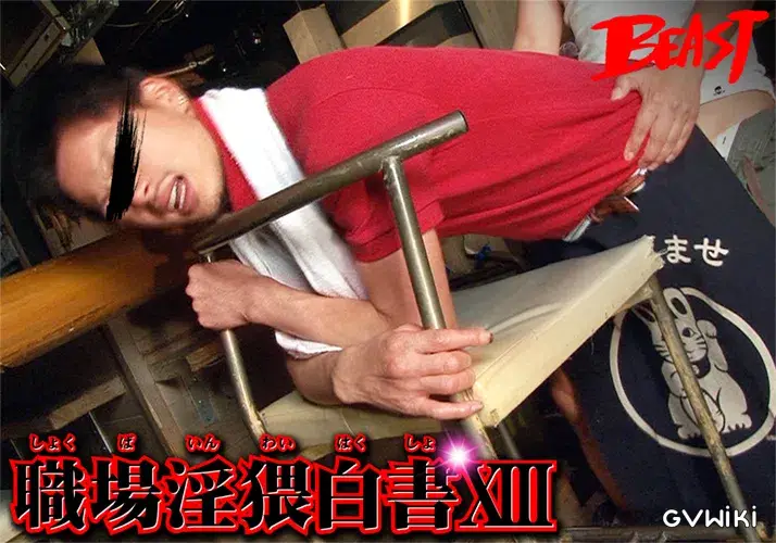 職場淫猥白書 XIII-5