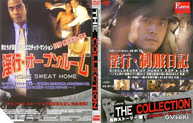 THE COLLECTION 名作ストーリー編 1 「淫行 制服日記」+「淫行オープンルーム」-1