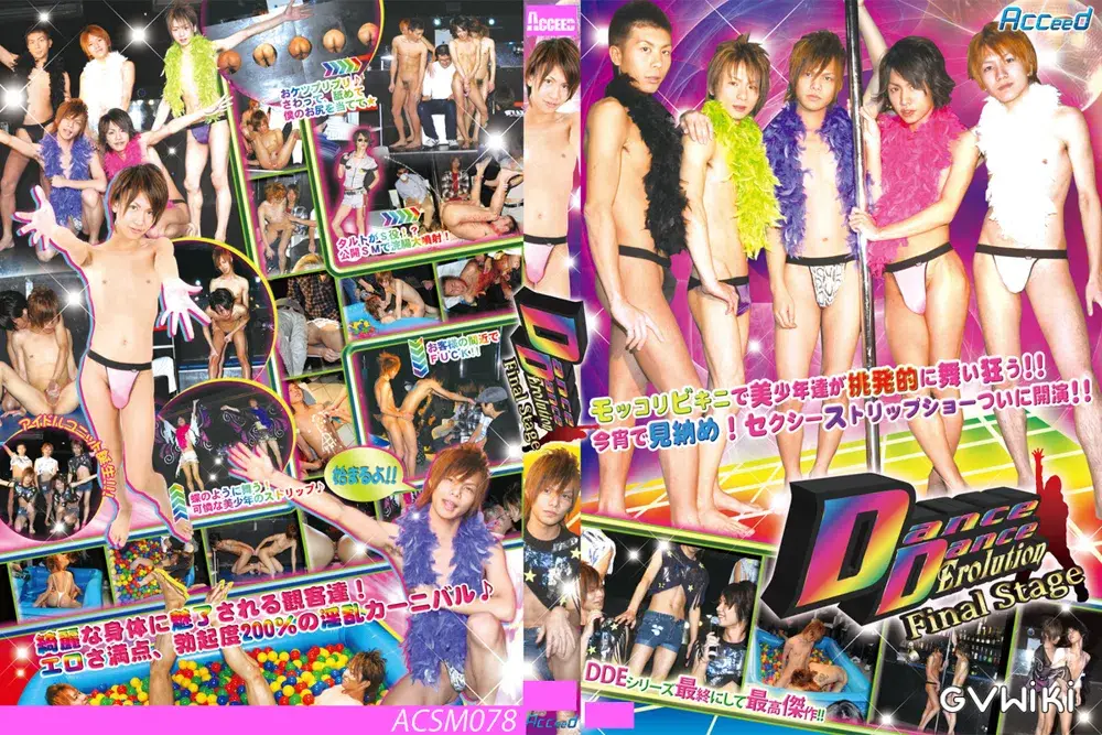DanceDanceErolution Final stage-1