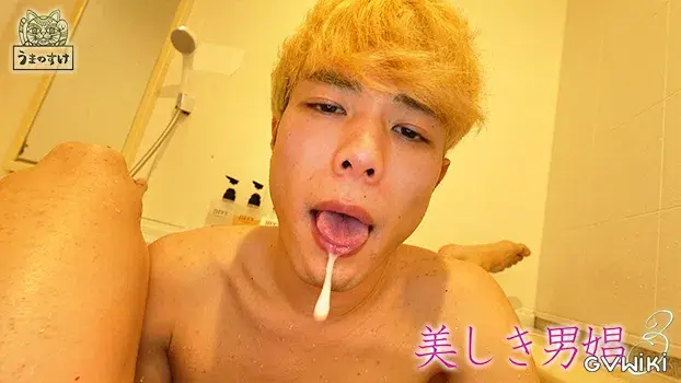 美しき男娼 3-4