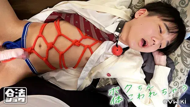 3レーベル合同企画 「ボクちん体こわれちゃう」-10