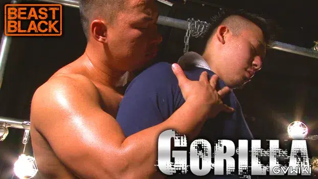 GORILLA-11