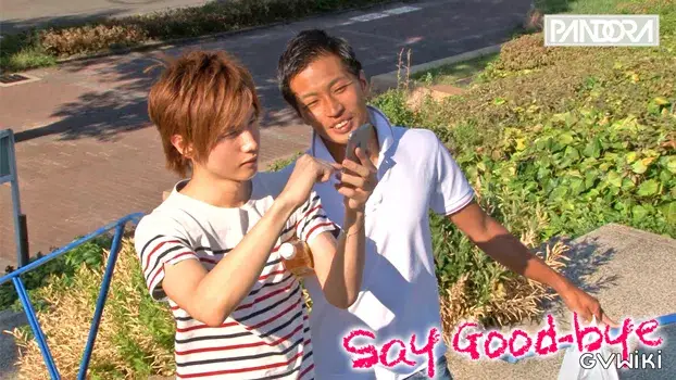 Say Good-bye-14