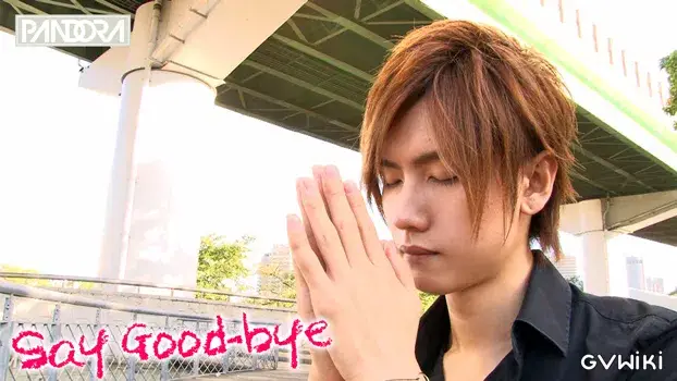 Say Good-bye-18