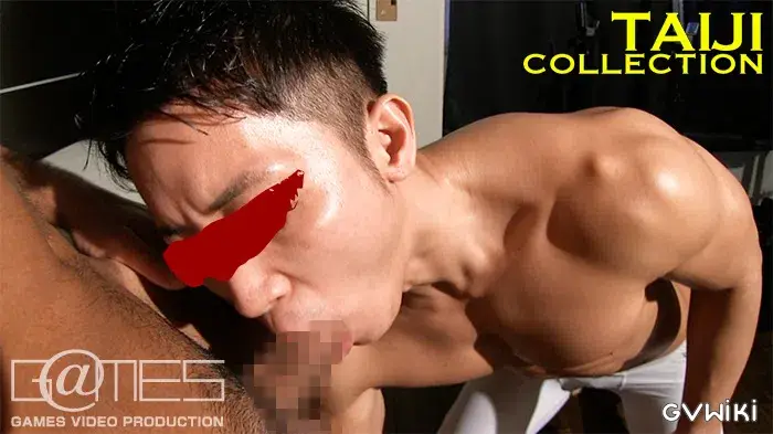 TAIJI COLLECTION-4