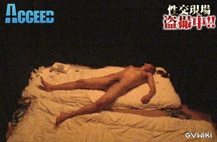 性交現場盗撮中!!-12