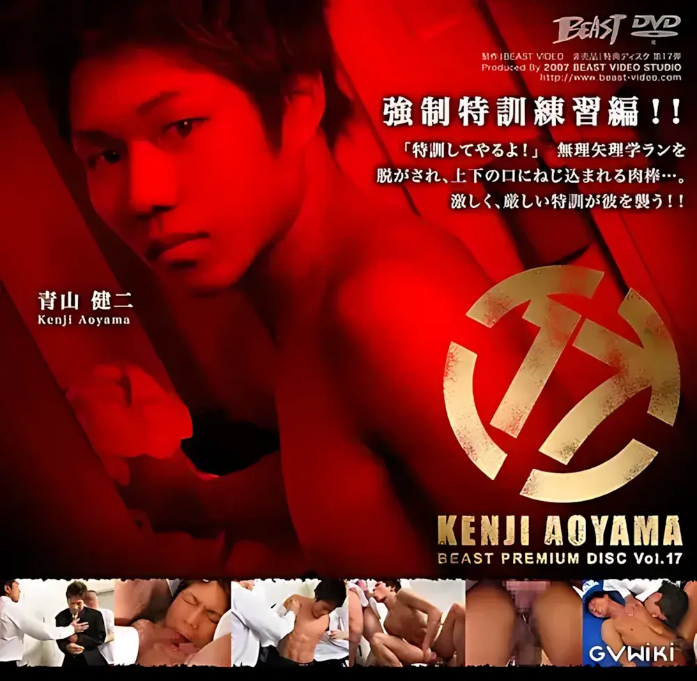 BEAST PREMIUM DISC 17-1