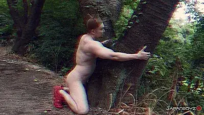 Find It In The Forest-11