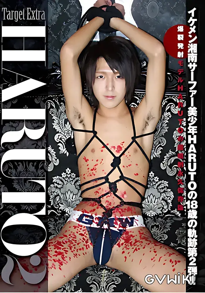 Target Extra HARUTO 2-1